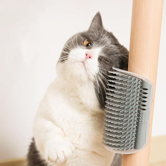 Pet Brush with Corner Comb Design