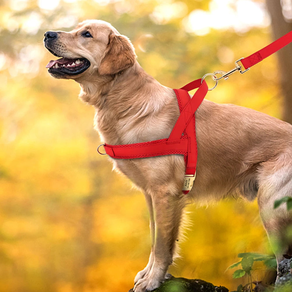 Personalized Adjustable Dog Harness