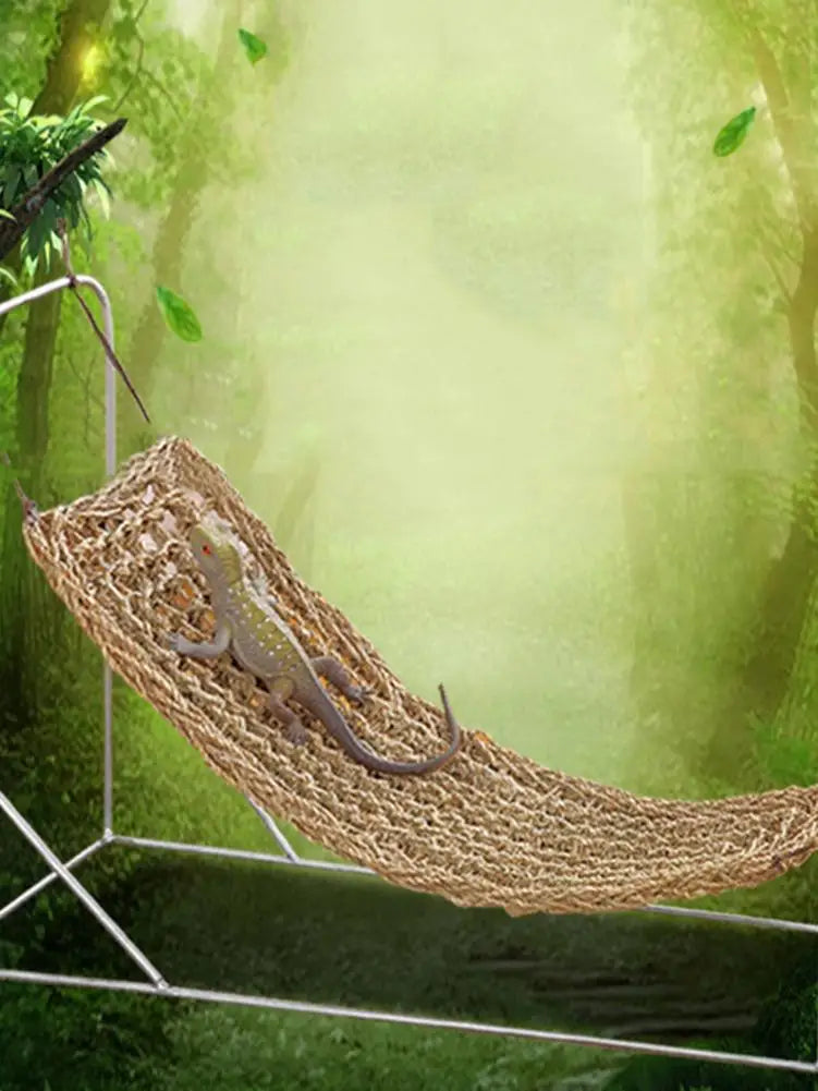 Natural Seaweed Reptile Swing Hammock