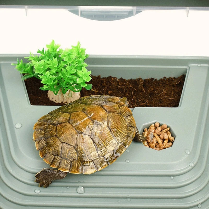 Easy-Clean Turtle Habitat with Breeding, Feeding, and Basking Areas