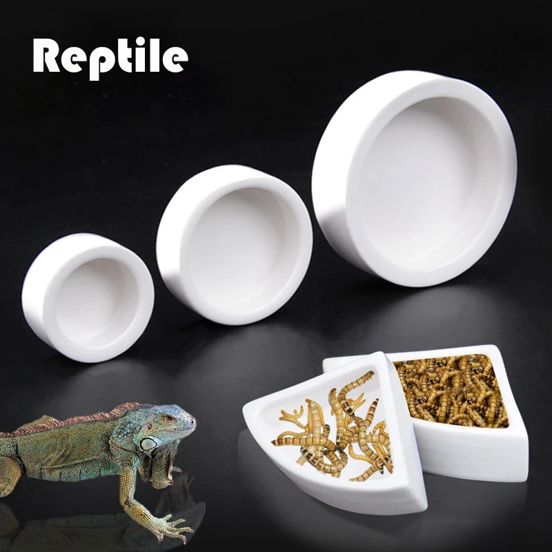 Multi-functional Ceramics Reptile Feeder