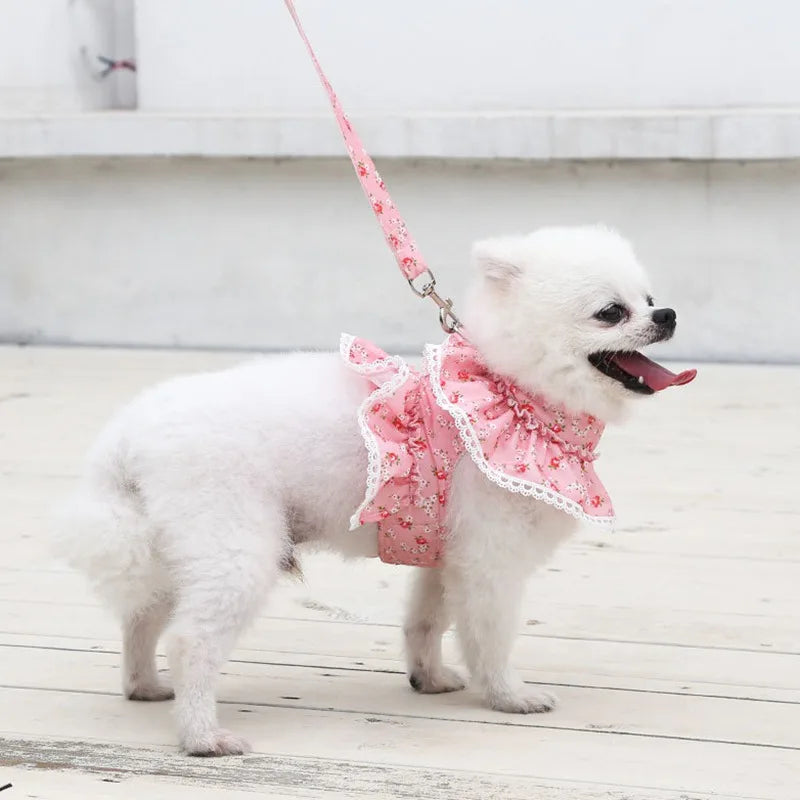 Floral Printed Lace Trim Pet Harness and Leash Set