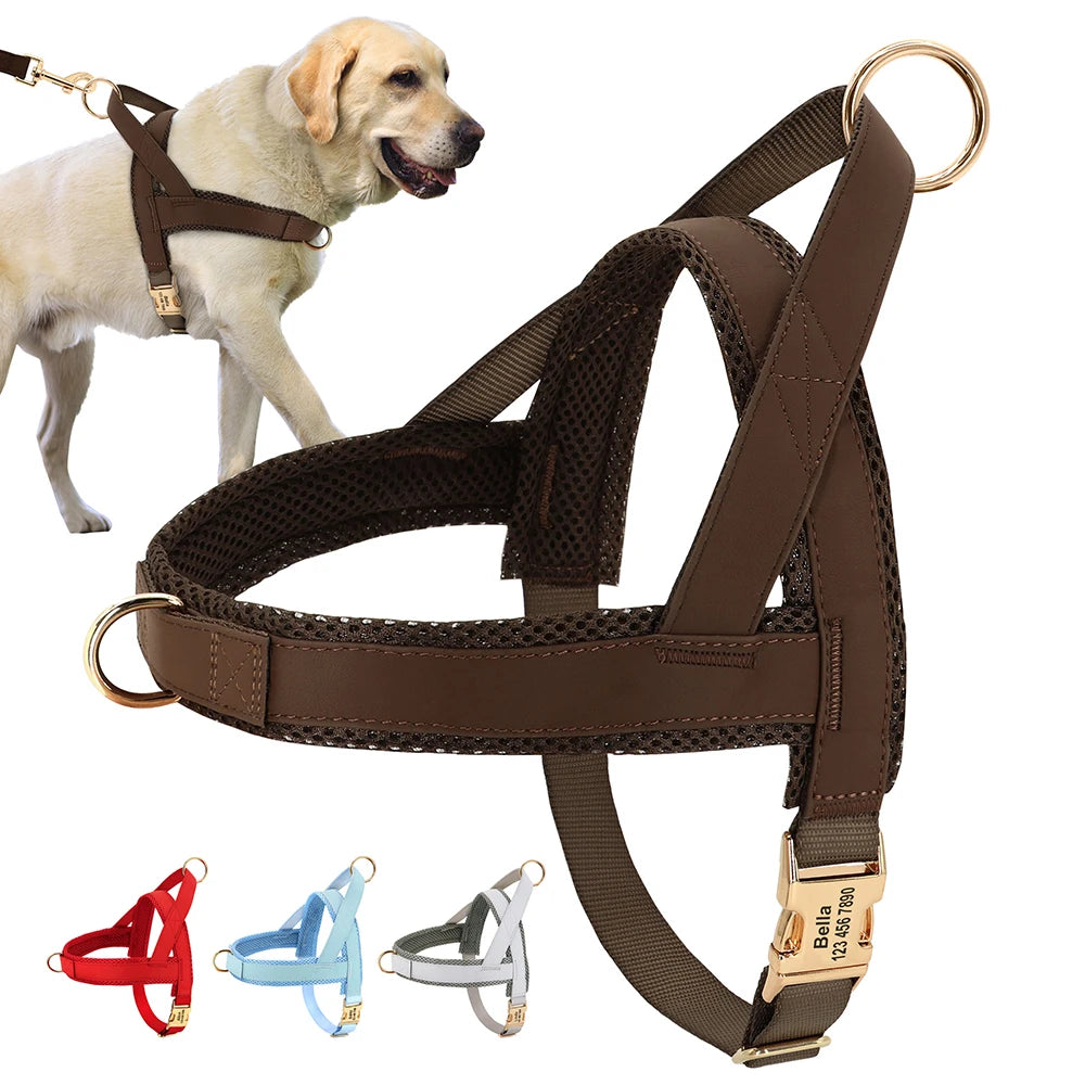 Personalized Adjustable Dog Harness