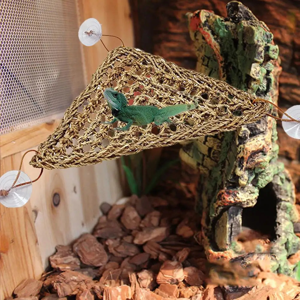 Natural Seaweed Reptile Swing Hammock