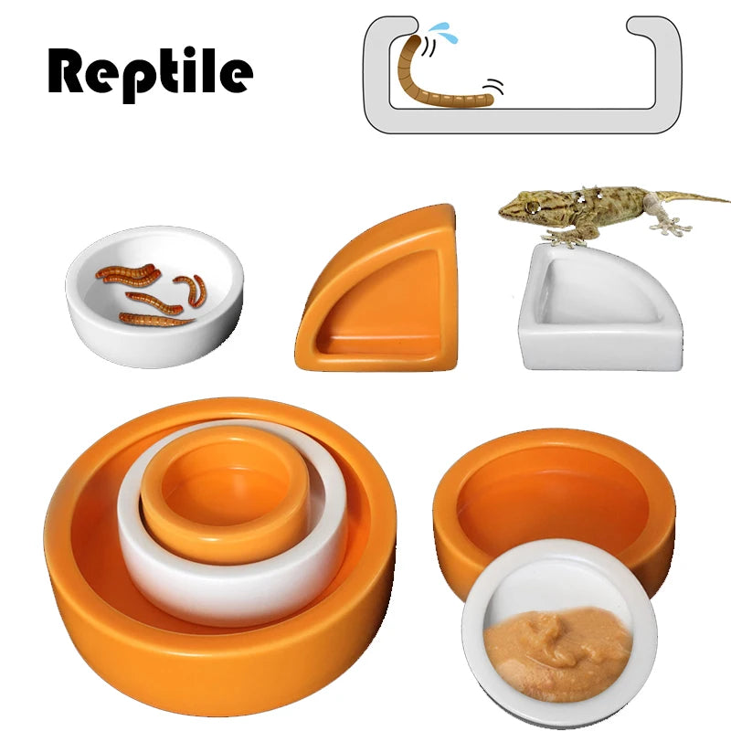 Multi-functional Ceramics Reptile Feeder