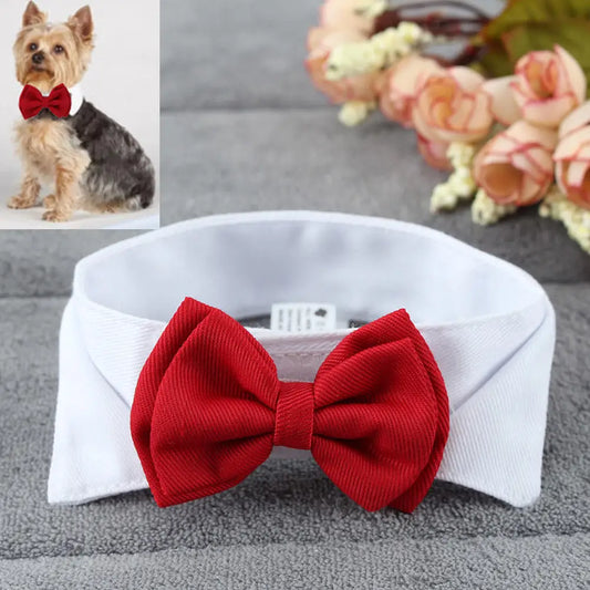 DapperPaws Adjustable Pet Bow Tie