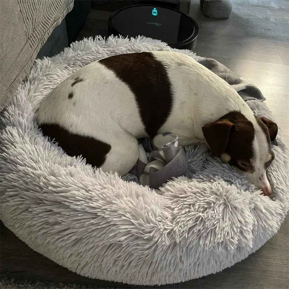 CozyPaws Super Soft Pet Bed