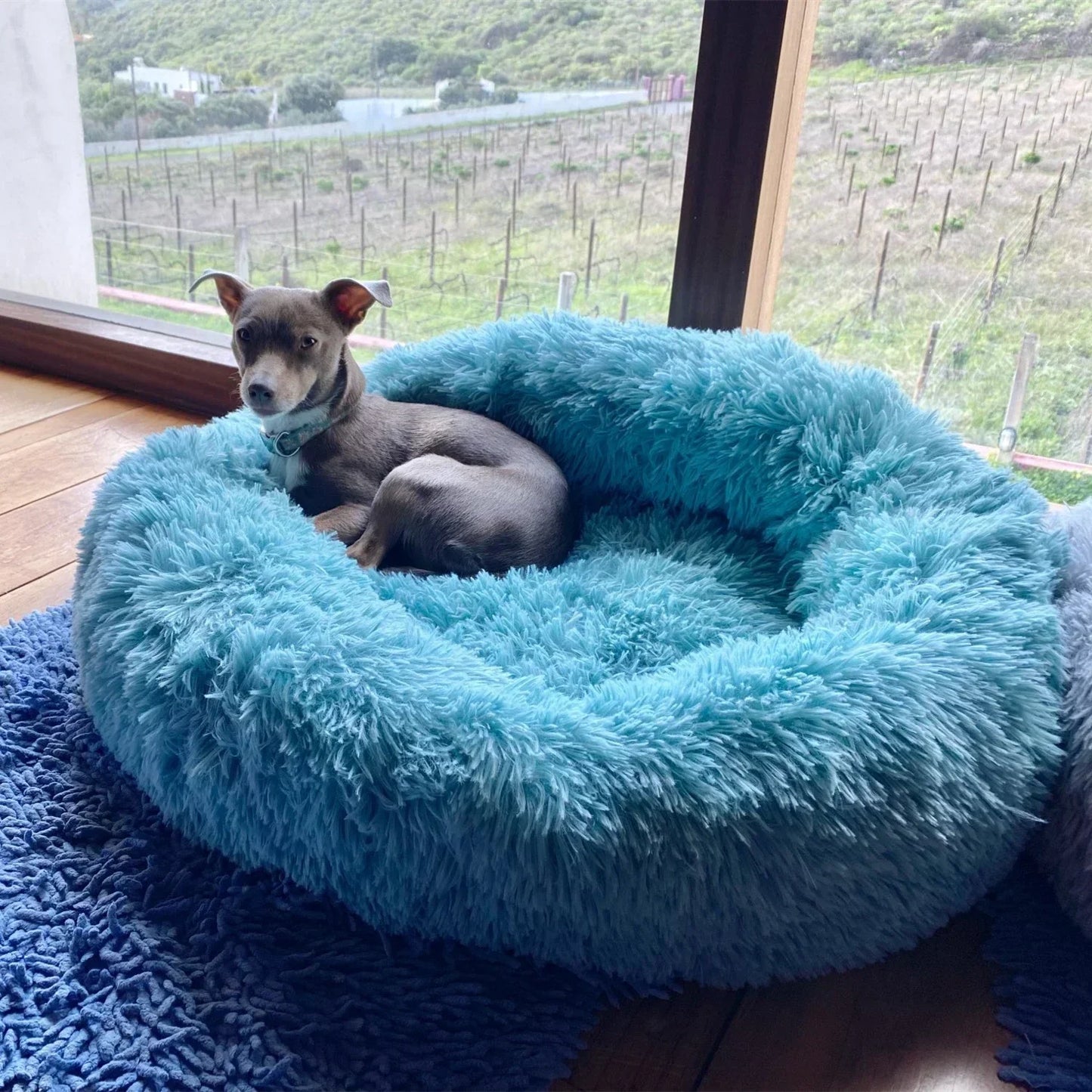 CozyPaws Super Soft Pet Bed