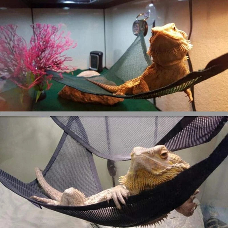 Ultimate Reptile Hammock Lounger Set - Ideal for Bearded Dragons, Geckos, Lizards, and Snakes