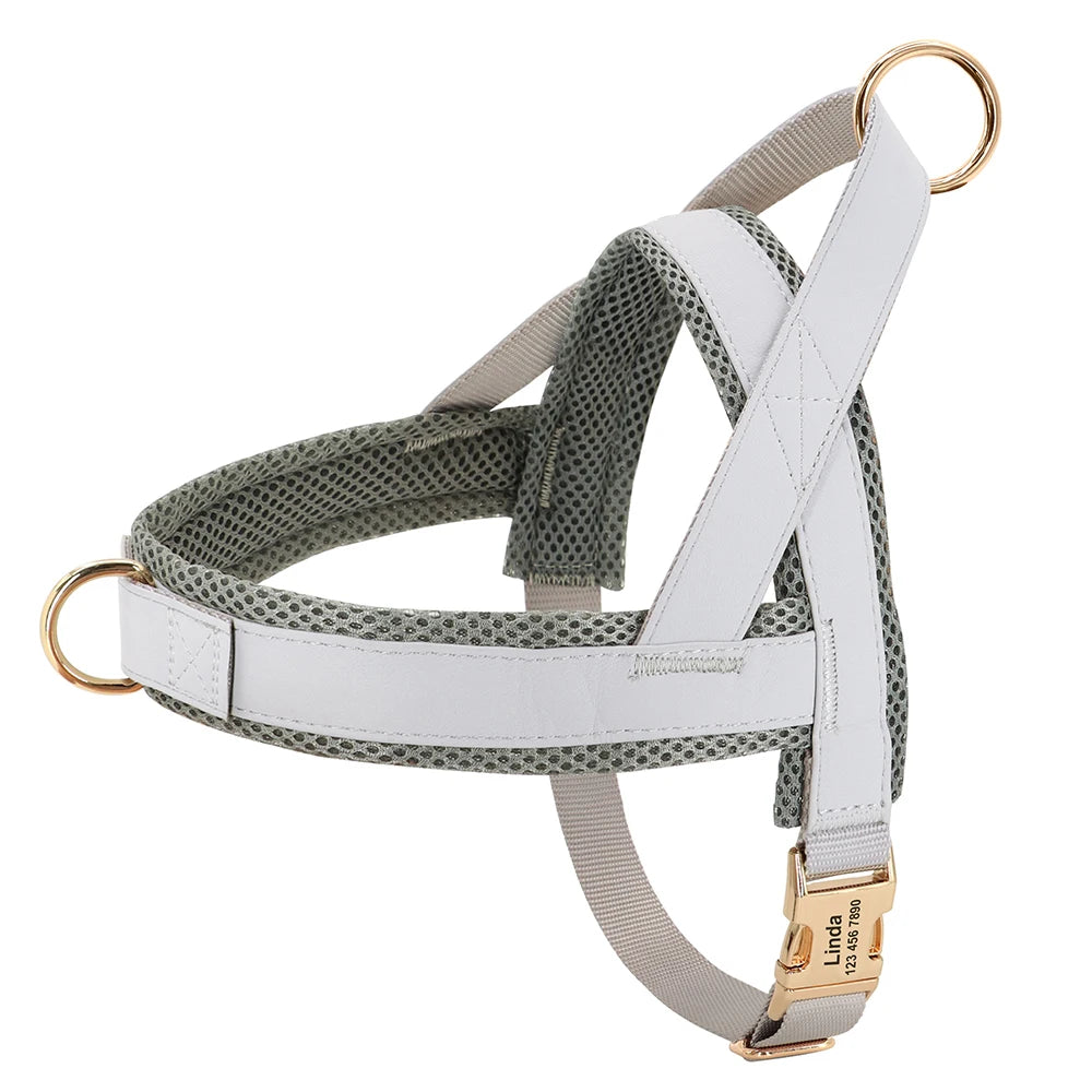 Personalized Adjustable Dog Harness