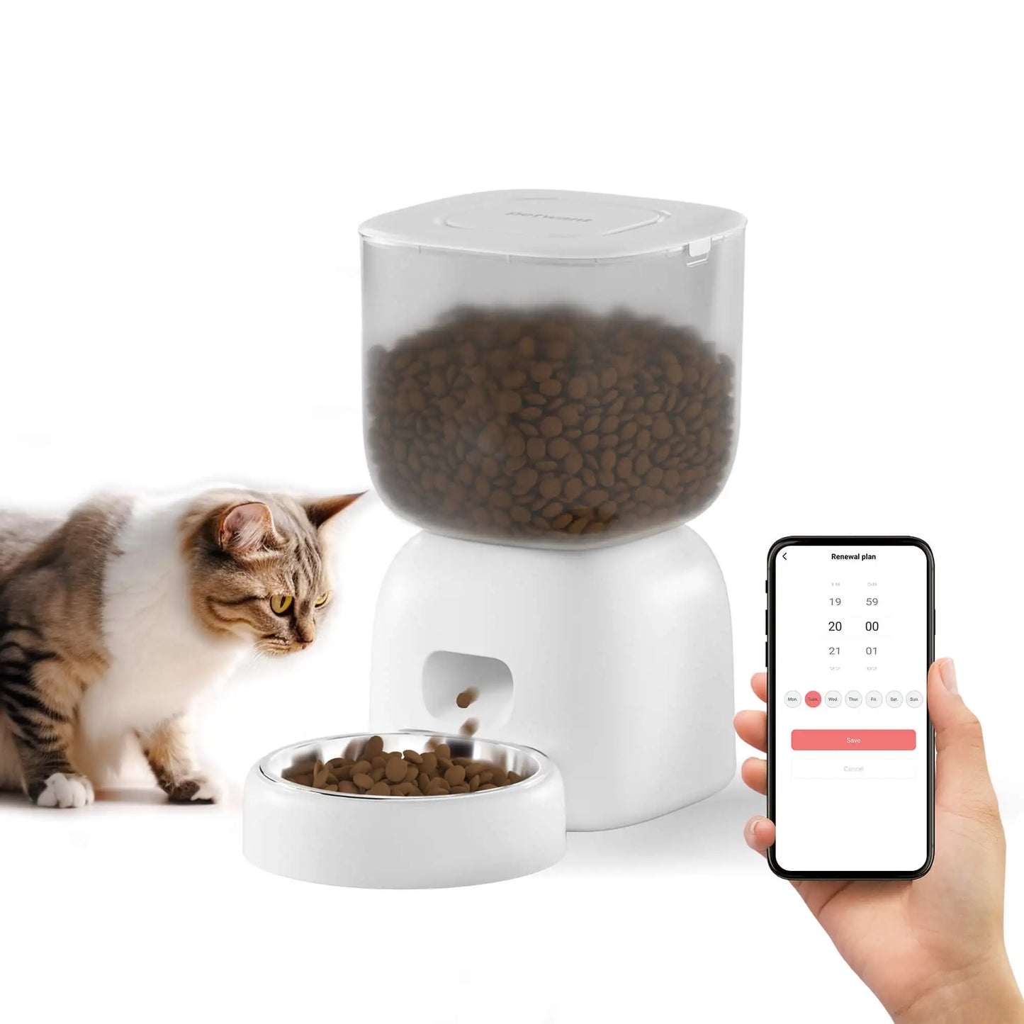 Petwant WIFI Smart 3L Pet Feeder