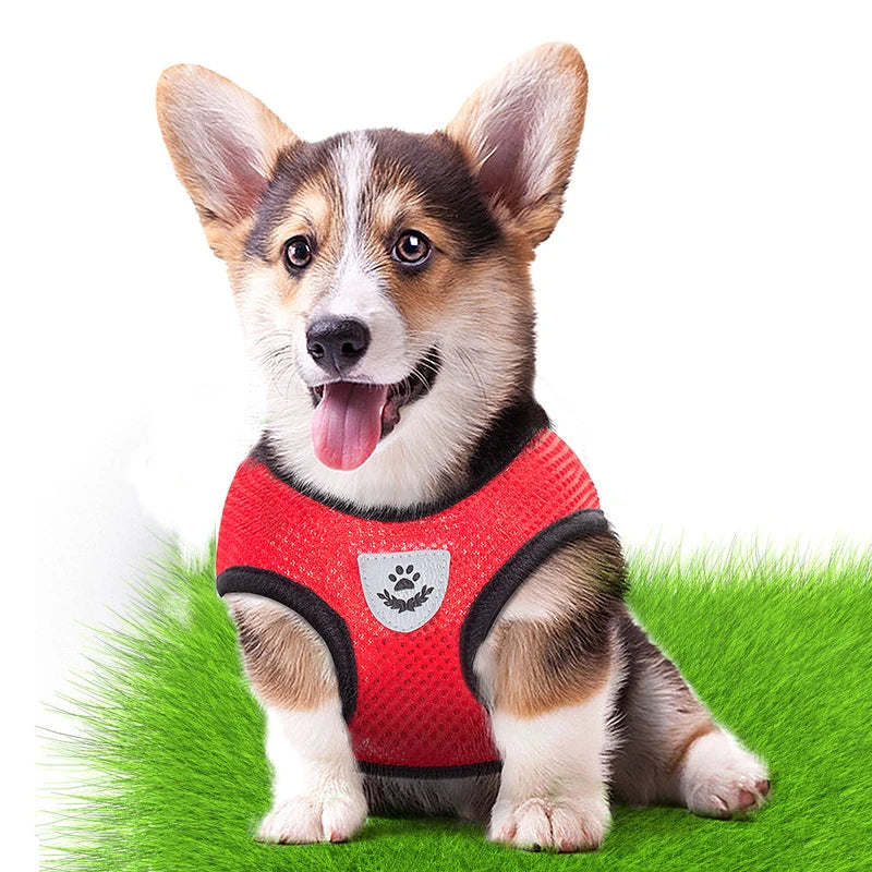 Adjustable Mesh Pet Harness with Leash