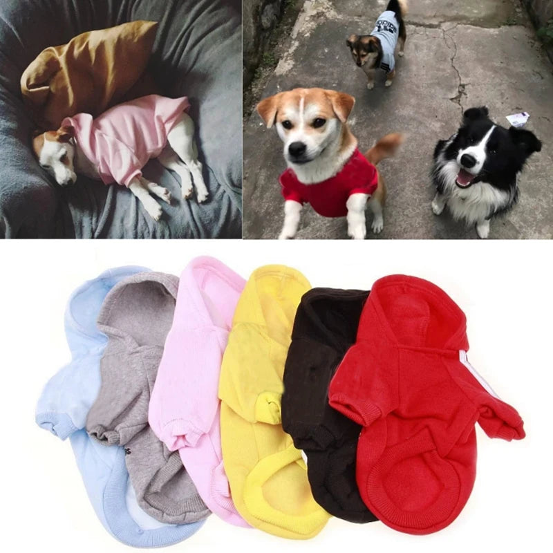 Small AdiDog Winter Hoodie Coat