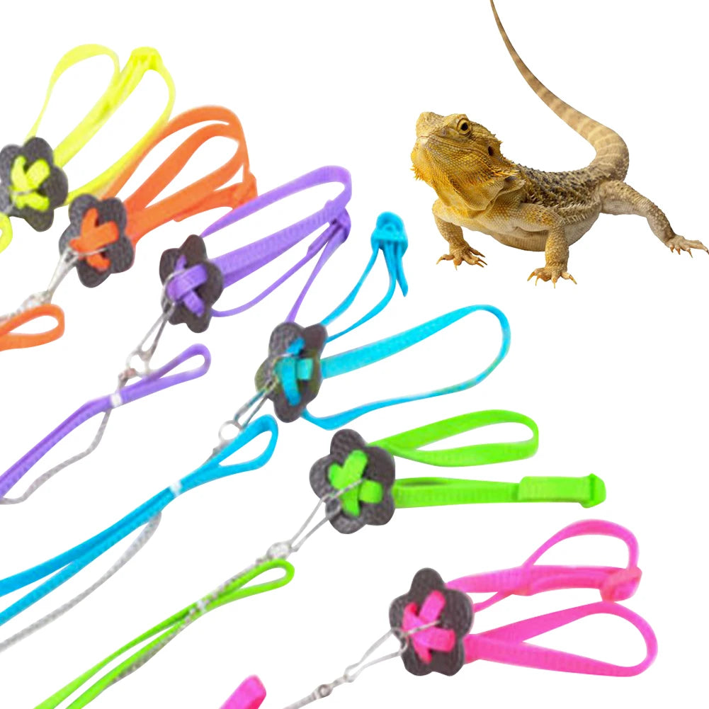 Adjustable Reptile Harness & Leash Set