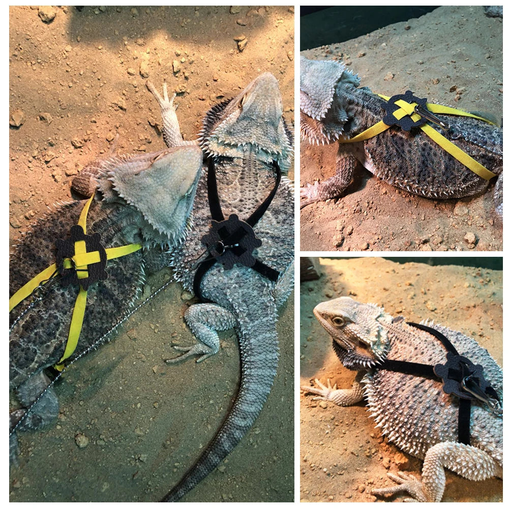 Adjustable Reptile Harness & Leash Set