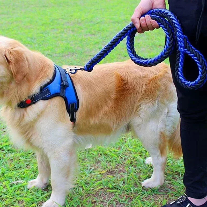 Heavy Duty Nylon Dog Harness Leash