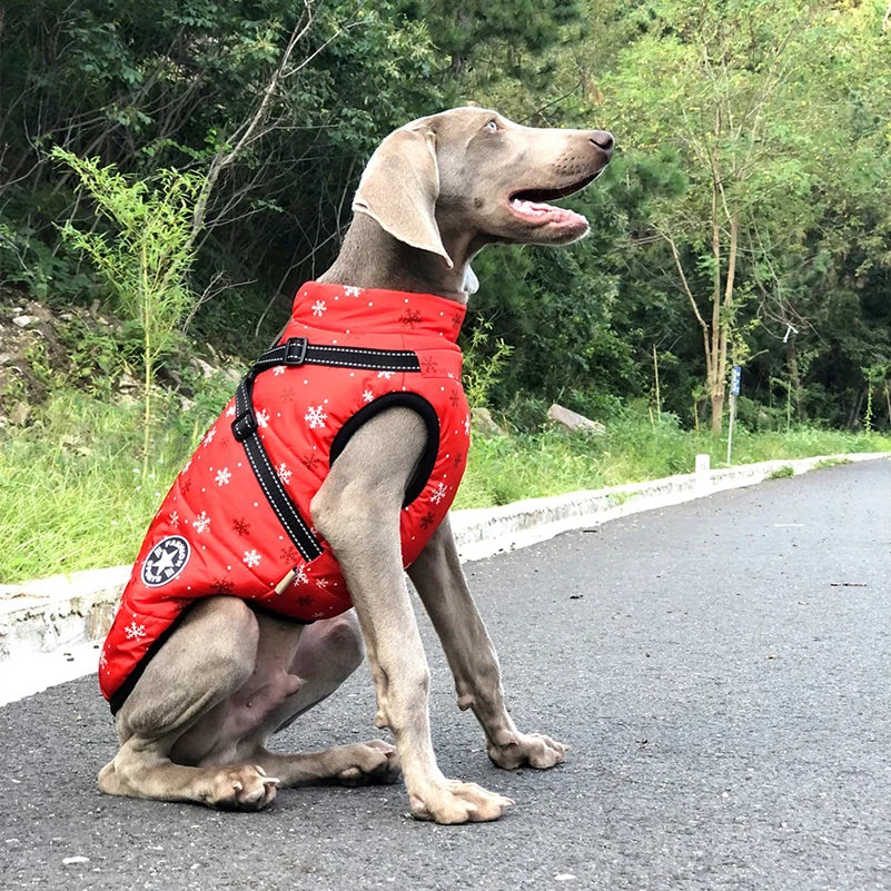 CozyPaws Winter Dog and Cat Vest