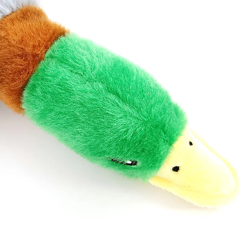 QuackTastic Plush Duck Dog Toy