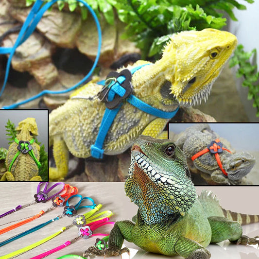 Adjustable Reptile Harness & Leash Set