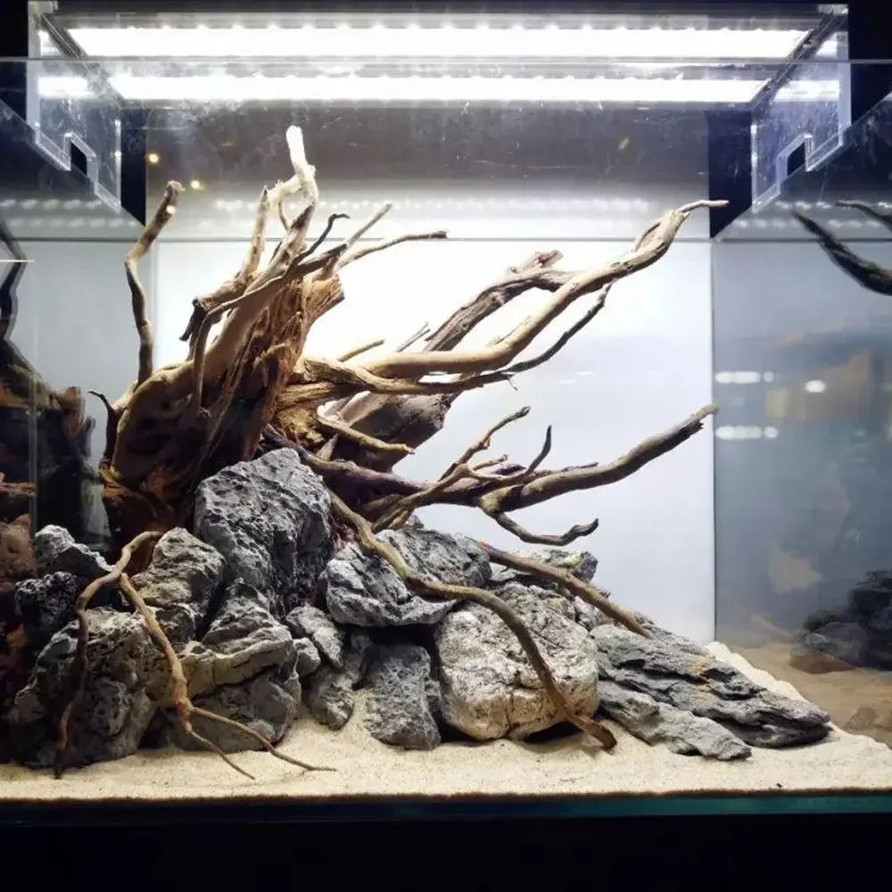 Natural Aquarium Driftwood Decor