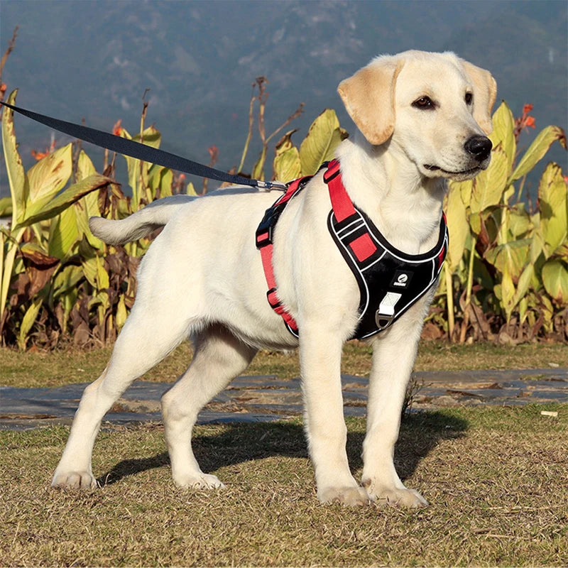 Reflective Safety Dog Harness Vest