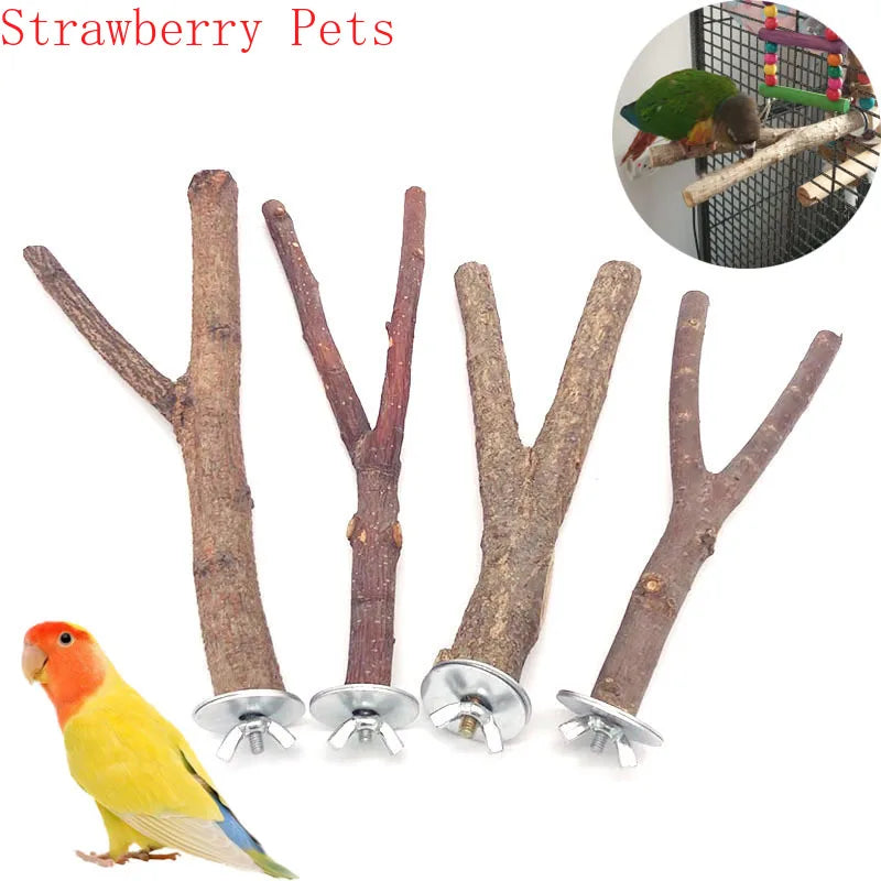 Natural Wood Pet Perch Stand