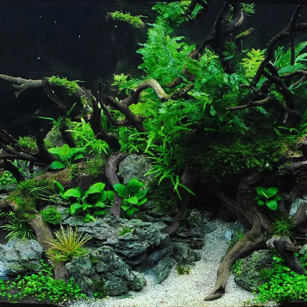 Natural Aquarium Driftwood Decor