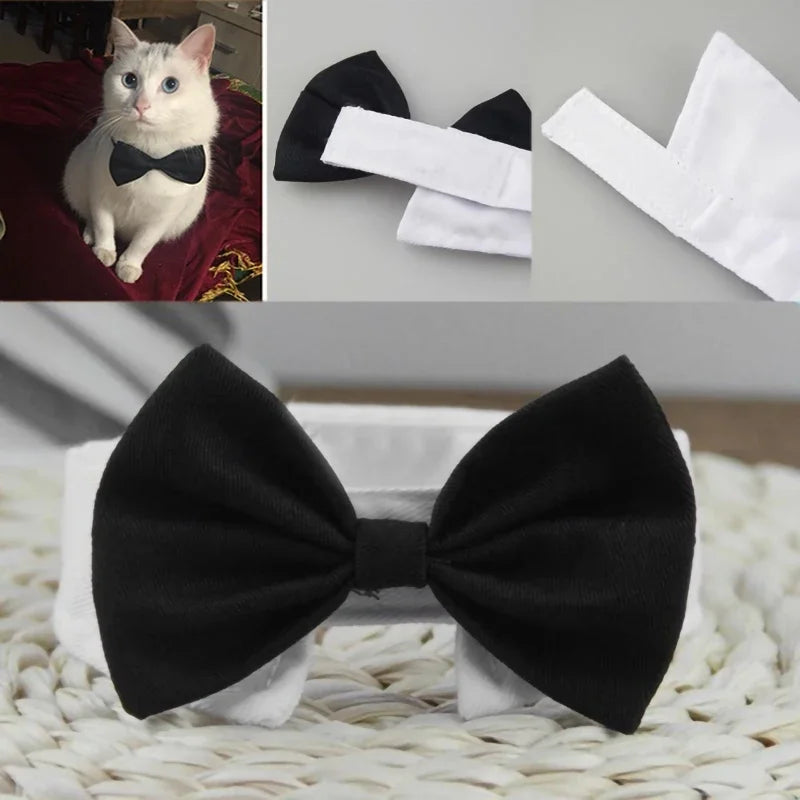 DapperPaws Adjustable Pet Bow Tie