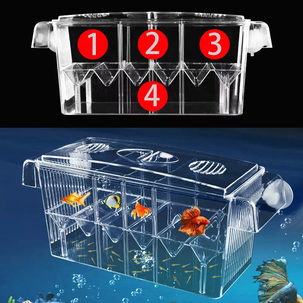 Double Layer Aquarium Breeding Incubator