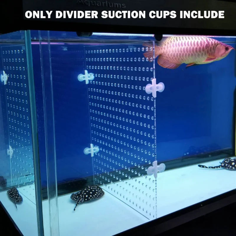 Aquarium Acrylic Divider with Full Holes