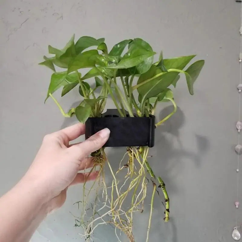 Hanging Aquarium Plant Holder