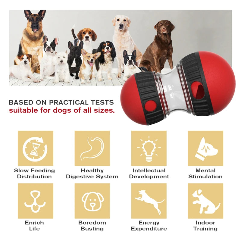 IntelliTrack Pet Interactive Ball