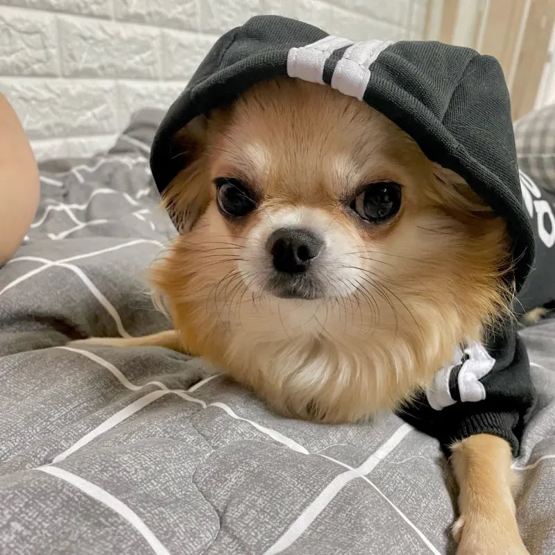 Small AdiDog Winter Hoodie Coat