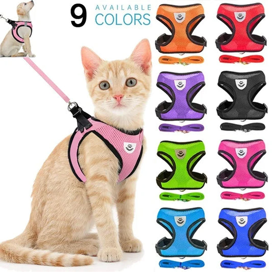 Adjustable Mesh Pet Harness with Leash