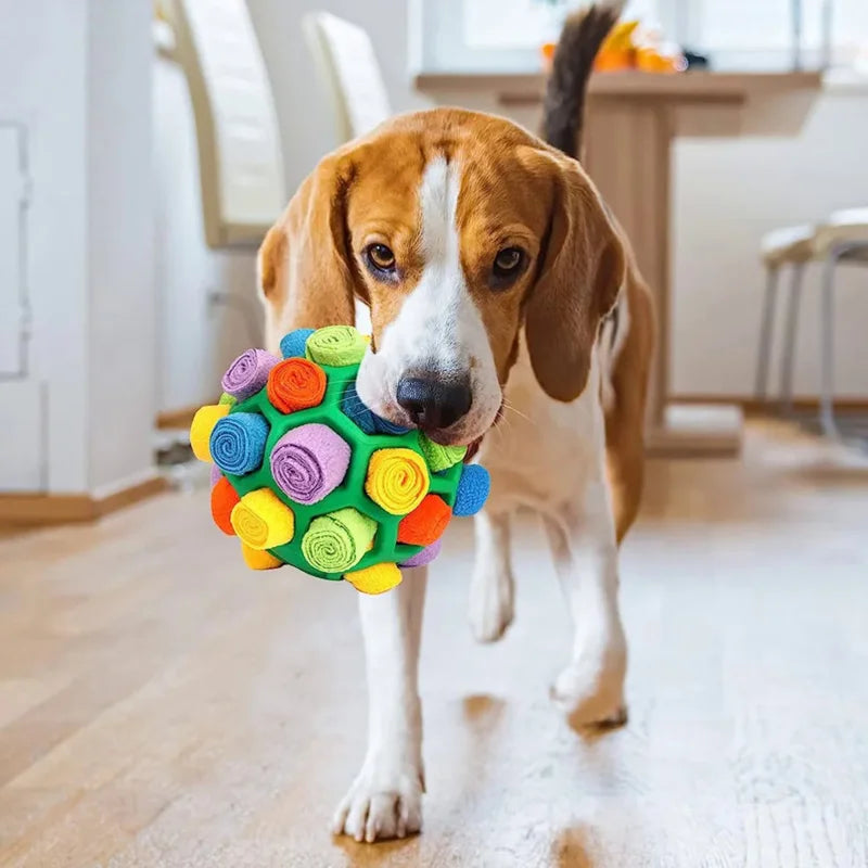 SnuffleSeeker Pet Interactive Ball