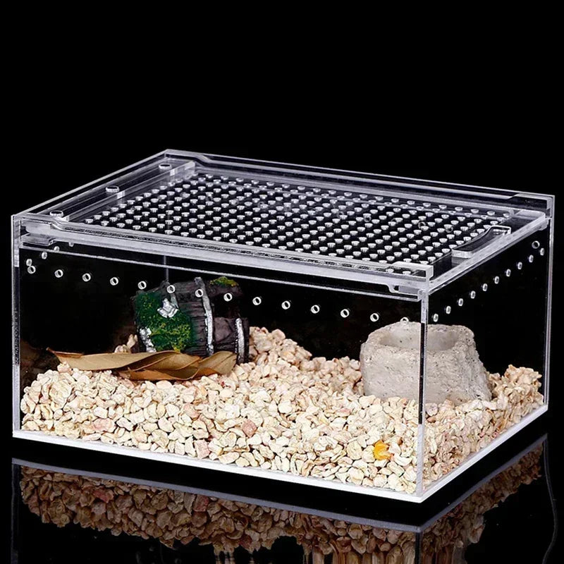 ClearVue Reptile Breeding Box