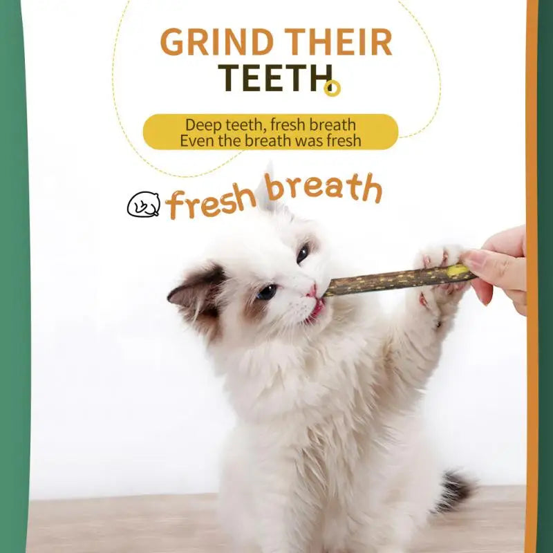 MeowMunch Natural Cat Mint Chew Sticks