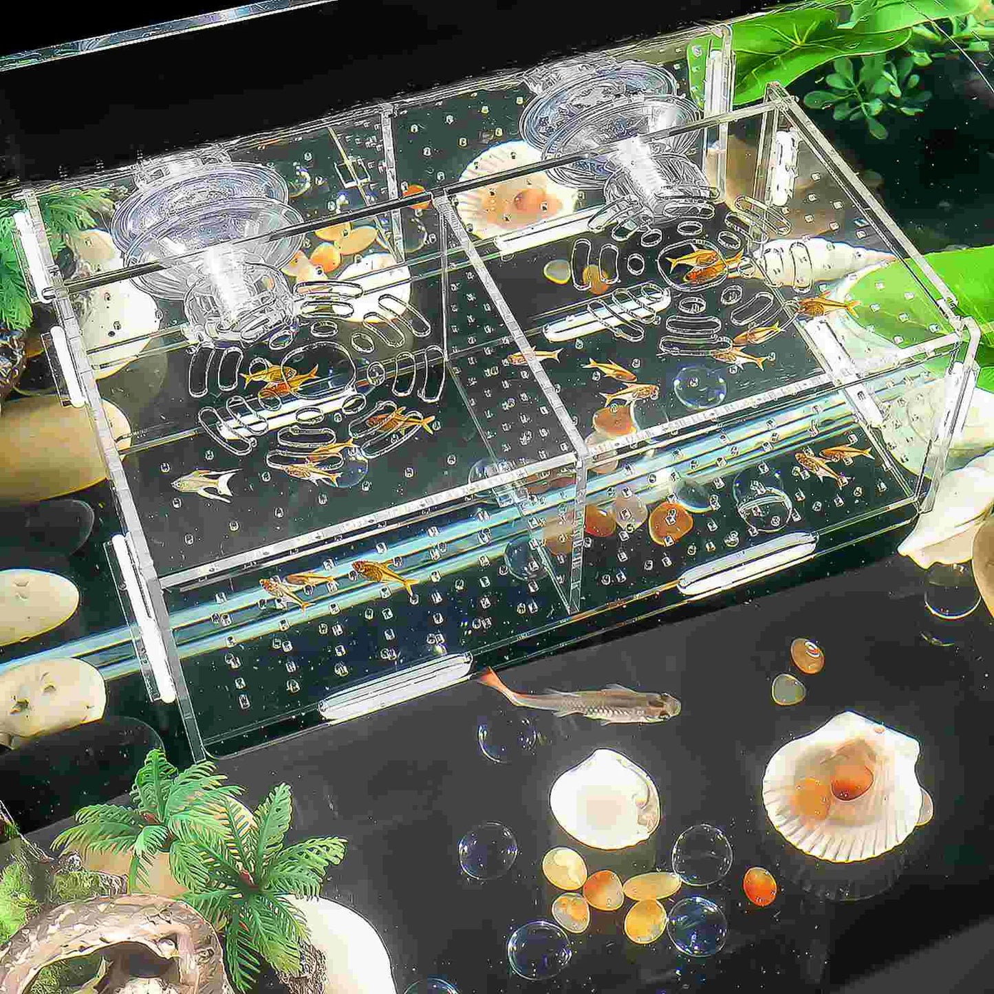 Multifunctional Fish Breeding Box