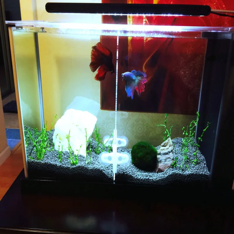 Aquarium Acrylic Divider with Full Holes