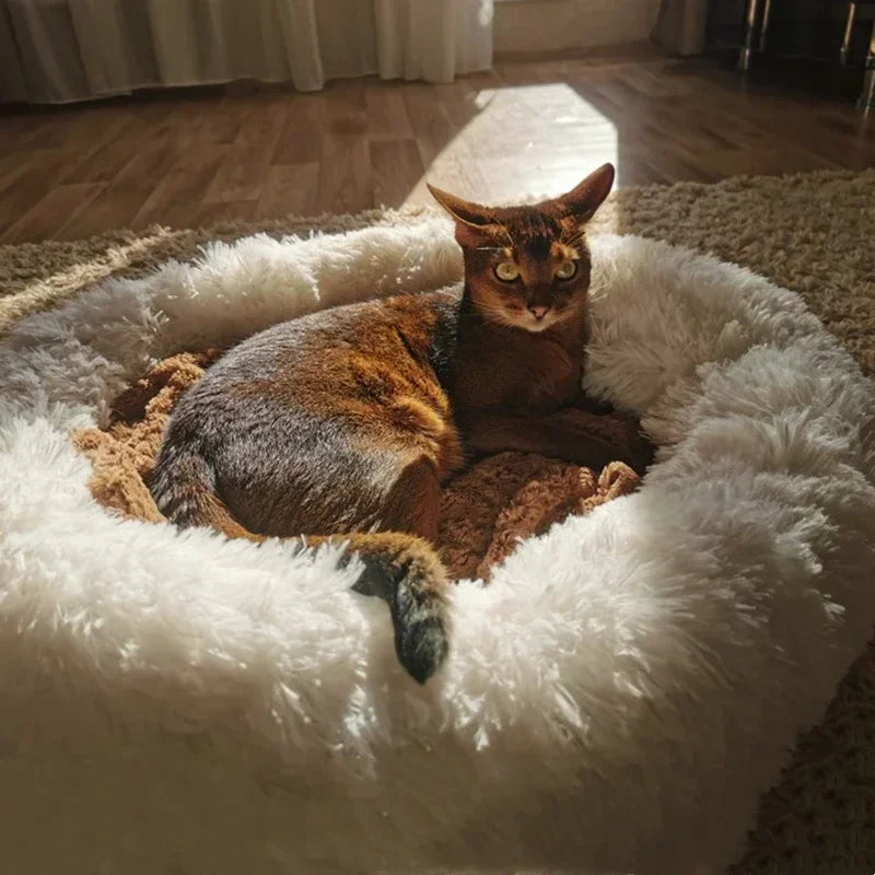 CozyPaws Super Soft Pet Bed