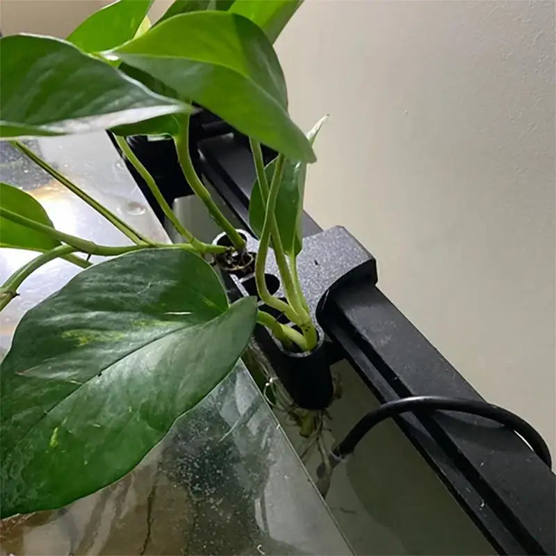 Hanging Aquarium Plant Holder