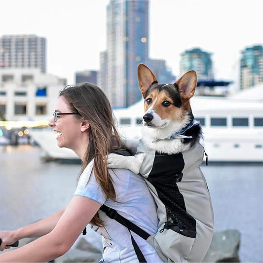 Strong Nylon Dog Carrier Backpack